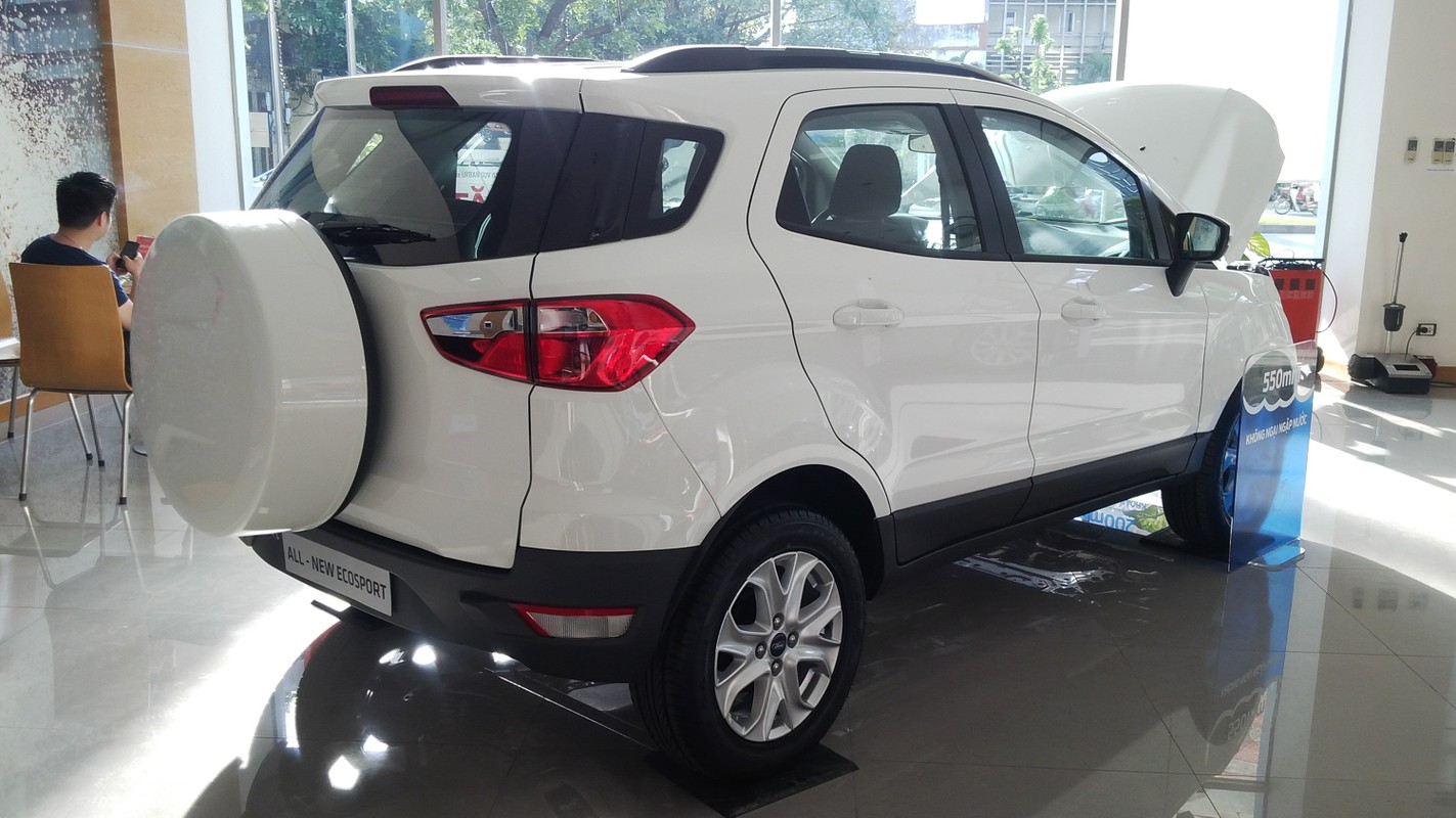 SUV co nho Ford Ecosport lam xe ruoc dau tai Da Nang-Hinh-11